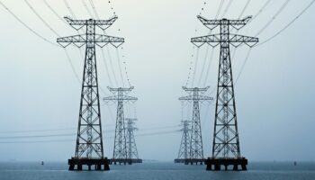 Photo by Cai Fang on Unsplash